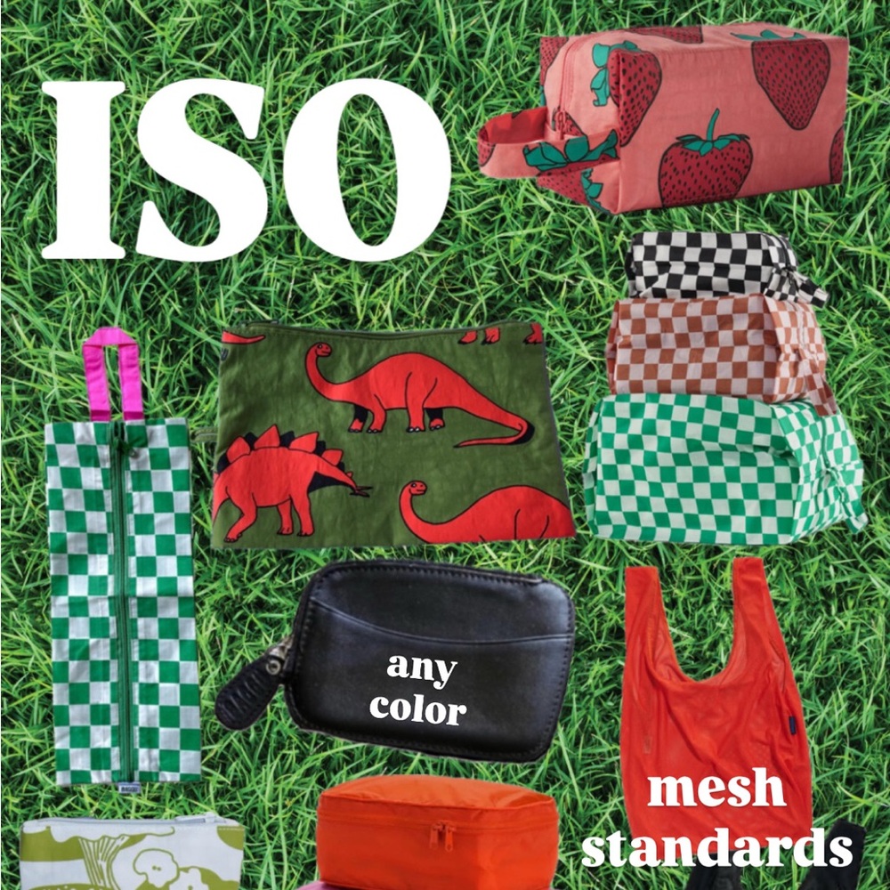 BAGGU ISO DONT BUY
